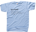koszulka BEST FRIEND NOUN definicja dla przyjaciółki przyjaciela best friends bff prezent z nadrukiem napisami błękitna.png