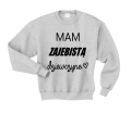 mam zajebistą dziewczynę szara.png
