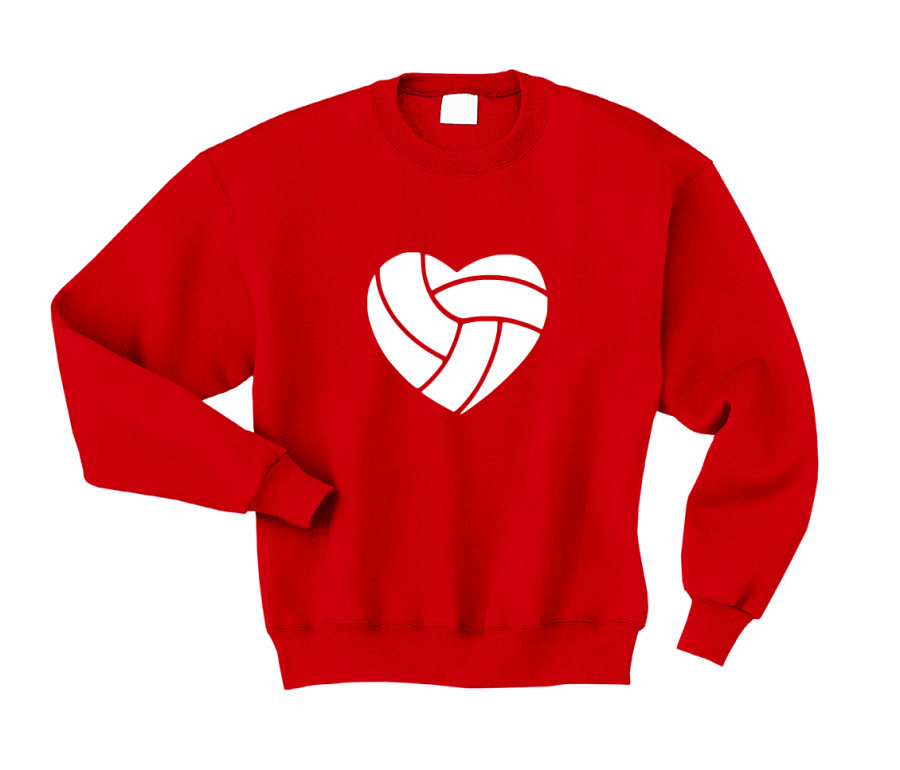 piłka siatkowa serce czerwona.png