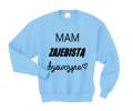 mam zajebistą dziewczynę błękitna.png