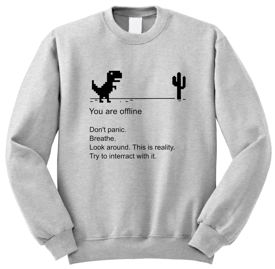 bluza z nadrukiem YOU ARE OFFLINE don't panic śmieszna zabawna z napisami szara.png