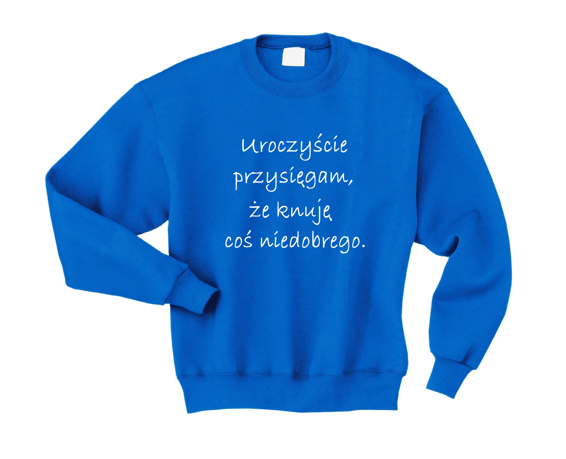 Bluza UROCZYŚCIE PRZYSIĘGAM, ŻE KNUJĘ COŚ NIEDOBREGO potterheads BLUZY